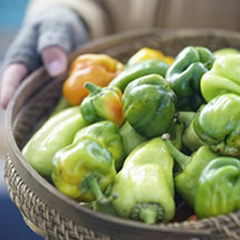 Farm to Table Website